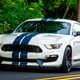 Illustration for article titled Ford Is Killing Off The Ford Mustang Shelby GT350. Sometimes It's Okay To Cry